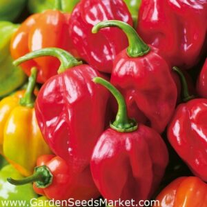 Habanero: Segala Hal yang Perlu Anda Ketahui tentang Cabai Habanero